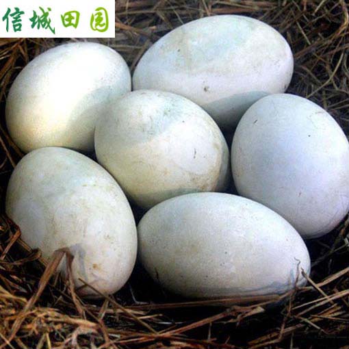 鸭蛋 1公斤