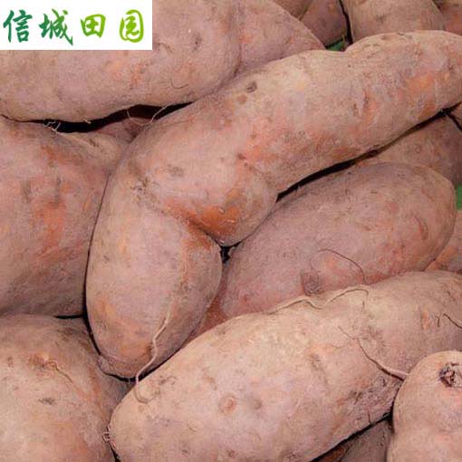 地瓜（红薯） 1公斤