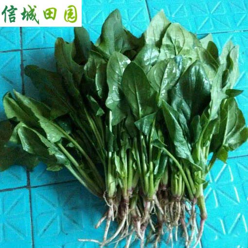 菠菜 1公斤