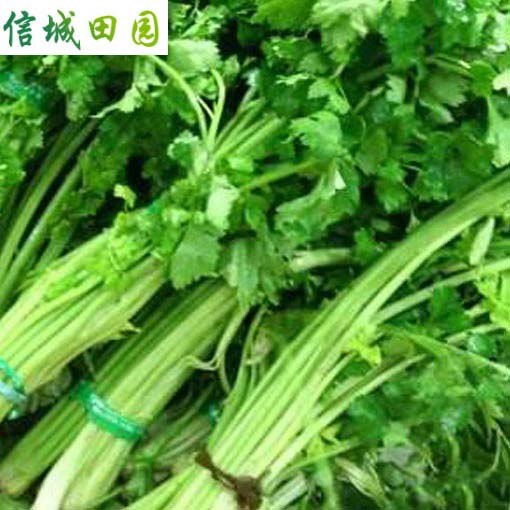 芹菜 1公斤